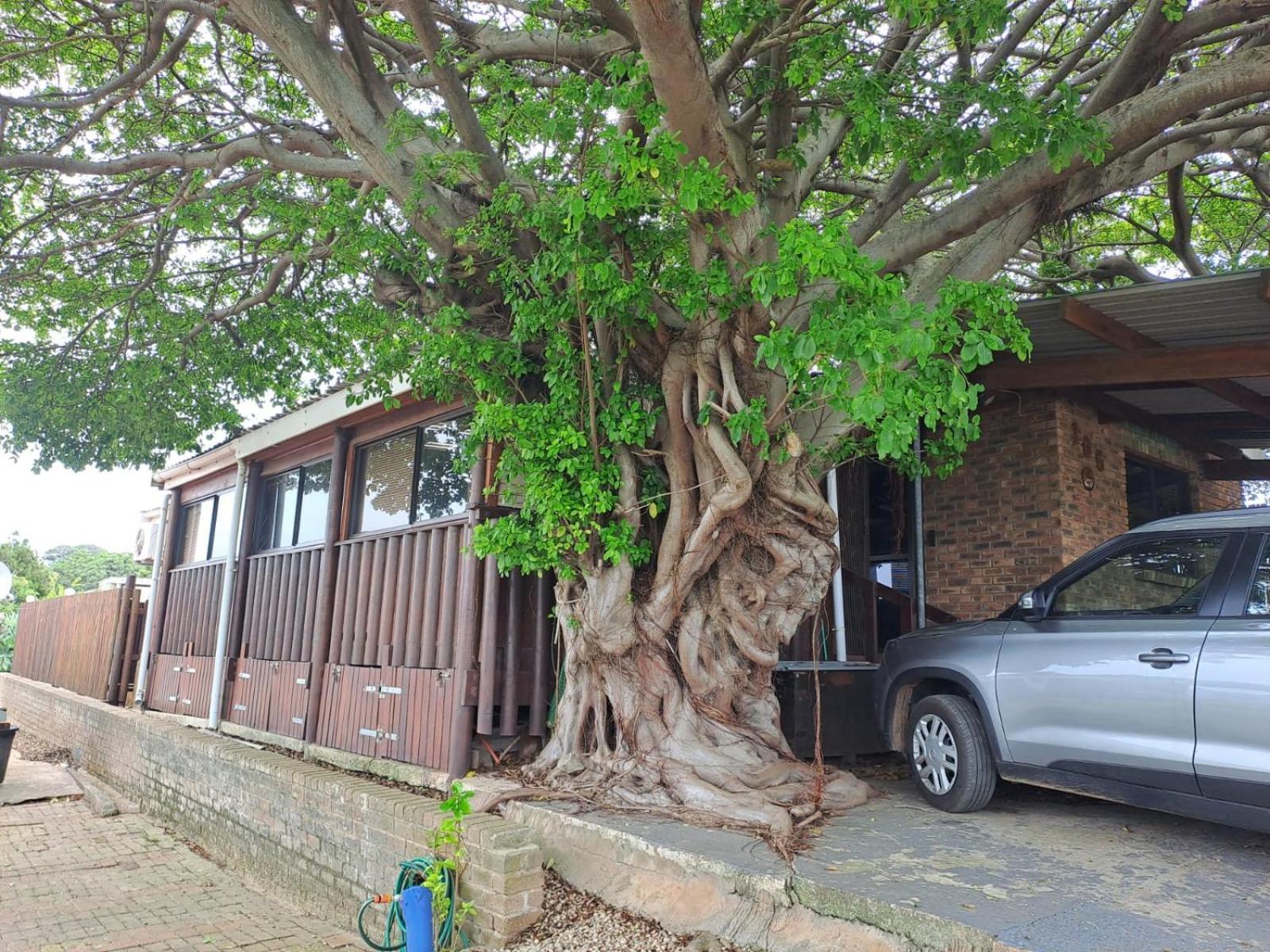 Seaviews Holiday Resort 杰弗里湾 外观 照片